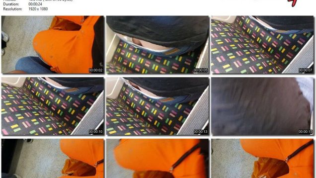 89447efe-60bd-11ef-86a2-0800275bf759