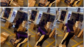 acb33d0e-60c1-11ef-86a2-0800275bf759