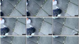 aff5551c-60bf-11ef-86a2-0800275bf759