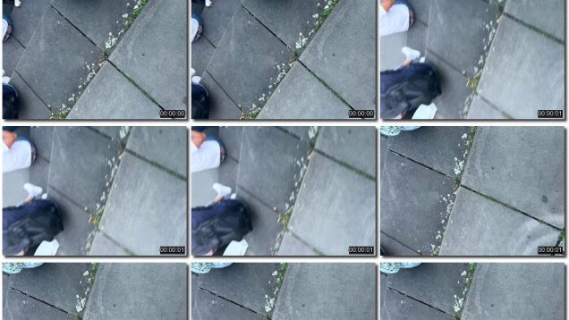 aff5551c-60bf-11ef-86a2-0800275bf759