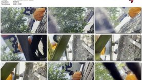 b1fe9948-60c1-11ef-86a2-0800275bf759