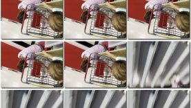 c7463f46-60c0-11ef-86a2-0800275bf759