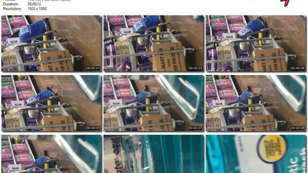 d8086fec-60c1-11ef-86a2-0800275bf759