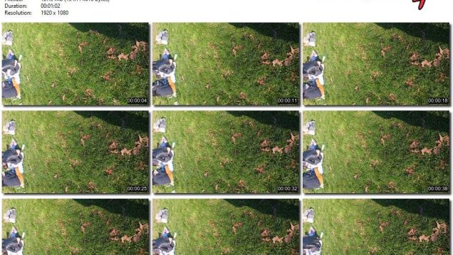 e04423de-60be-11ef-86a2-0800275bf759