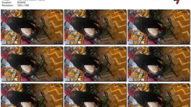 f4fb729e-60c0-11ef-86a2-0800275bf759