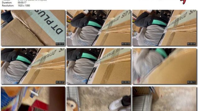 c44a3644-779f-11ef-893b-0800275bf759