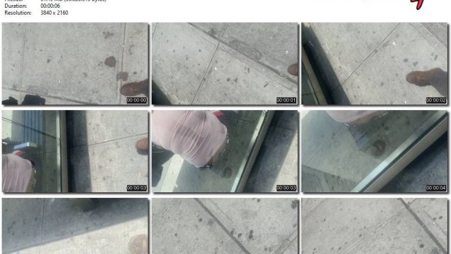 00f463d0-9b09-11ef-893b-0800275bf7591