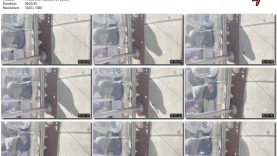 177f3ca6-9b09-11ef-893b-0800275bf7591