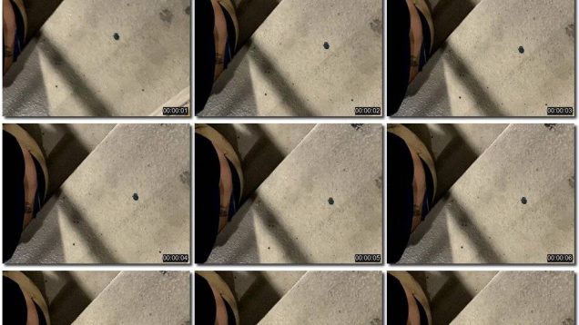 1b6caece-9b0a-11ef-893b-0800275bf7591