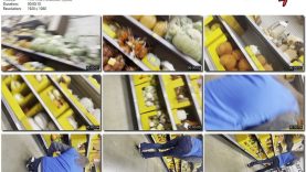 310b3c24-9b09-11ef-893b-0800275bf7591