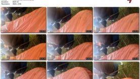 604a64be-9b0a-11ef-893b-0800275bf7591