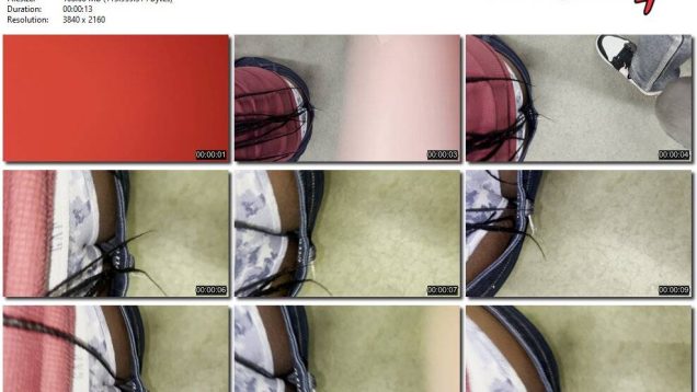 a7bb75ec-9b08-11ef-893b-0800275bf7591