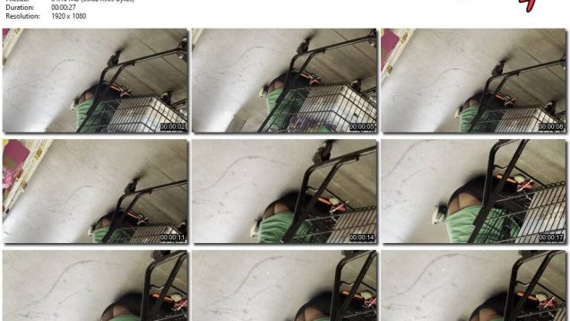 d94ab8ec-9b09-11ef-893b-0800275bf7591