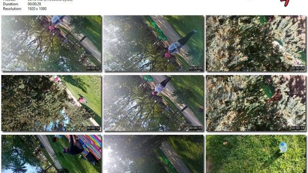 042e10bc-db7f-11ef-893b-0800275bf759