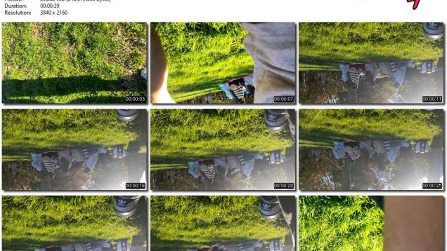 0dbfd688-db7f-11ef-893b-0800275bf759