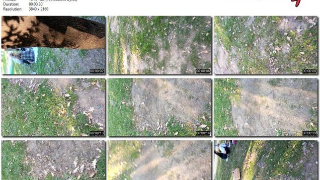 0ea44c4a-db80-11ef-893b-0800275bf759