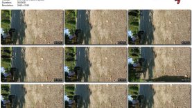 122bb8a0-db7e-11ef-893b-0800275bf759