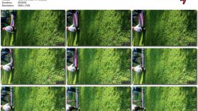 1b0d5762-db7e-11ef-893b-0800275bf759