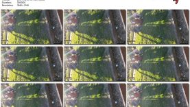 28e01ab4-db7e-11ef-893b-0800275bf759