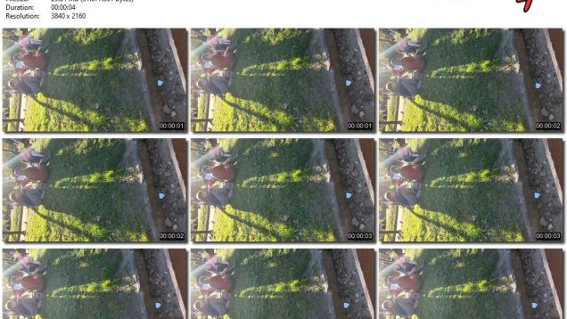 28e01ab4-db7e-11ef-893b-0800275bf759