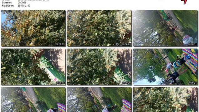 2bc88486-db7f-11ef-893b-0800275bf759