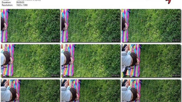 3b029764-db81-11ef-893b-0800275bf759