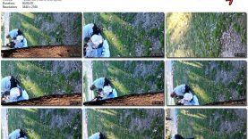 41820aa0-db7e-11ef-893b-0800275bf759