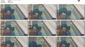 4a88ecea-db7e-11ef-893b-0800275bf759