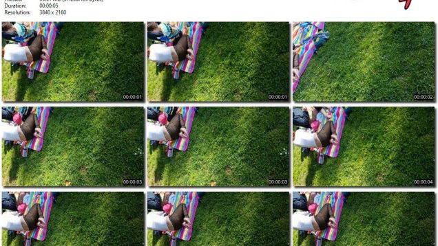 653c3752-db80-11ef-893b-0800275bf759