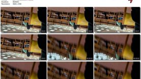 8df38622-db81-11ef-893b-0800275bf759