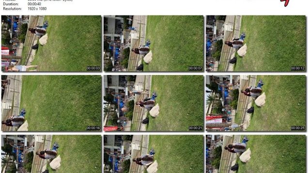 9471cee2-db76-11ef-893b-0800275bf759