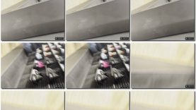 b6cf4d2e-db81-11ef-893b-0800275bf759