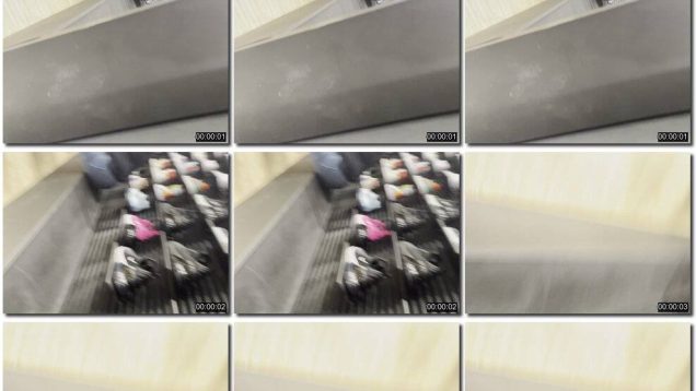 b6cf4d2e-db81-11ef-893b-0800275bf759