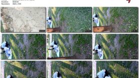 c56e235e-db7d-11ef-893b-0800275bf759