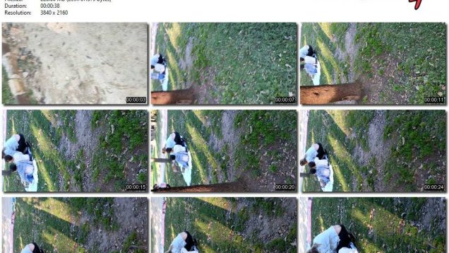 c56e235e-db7d-11ef-893b-0800275bf759