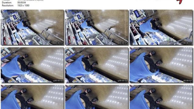 cf11086c-db79-11ef-893b-0800275bf759