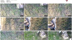 e0c6ef40-db7e-11ef-893b-0800275bf759