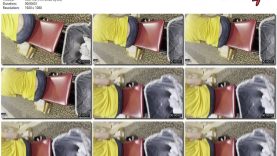 e29d7548-db81-11ef-893b-0800275bf759