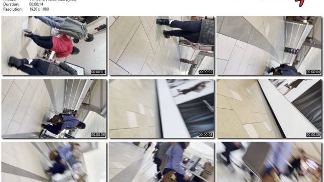 f849b3d4-db81-11ef-893b-0800275bf759