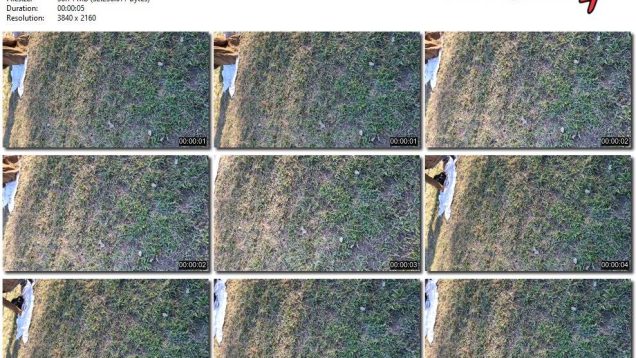 fee8cd76-db7f-11ef-893b-0800275bf759