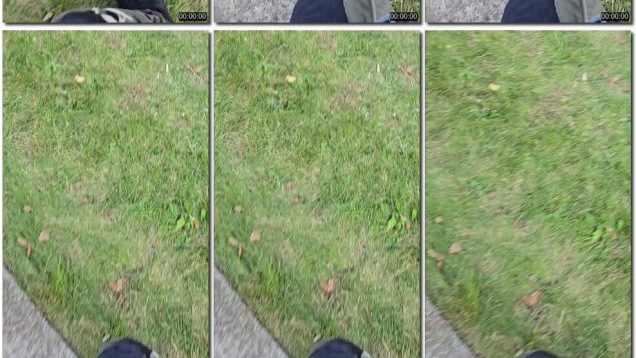 d2d8b246-08c0-11f0-893b-0800275bf759