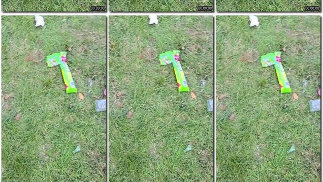 d5c266c8-08c0-11f0-893b-0800275bf759