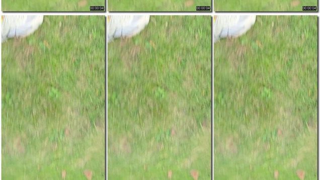 de2be42e-08c0-11f0-893b-0800275bf759