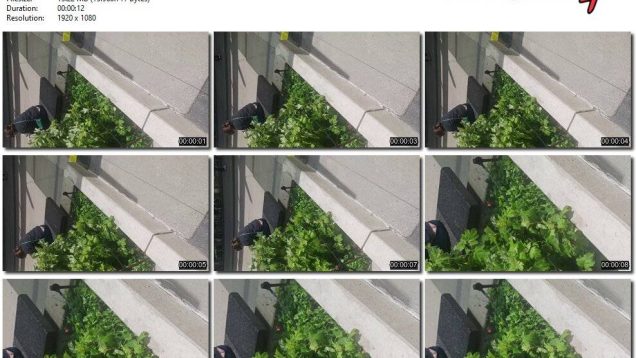 20116a86-43f8-11f0-893b-0800275bf759