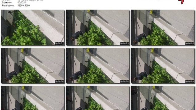 41a30010-43f8-11f0-893b-0800275bf759