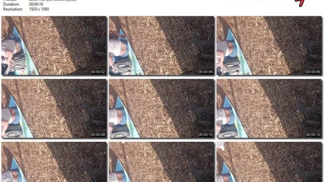 58524816-43f8-11f0-893b-0800275bf759