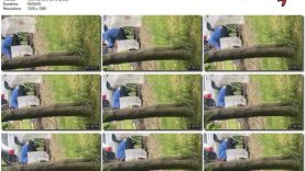 587ba184-43fd-11f0-893b-0800275bf759