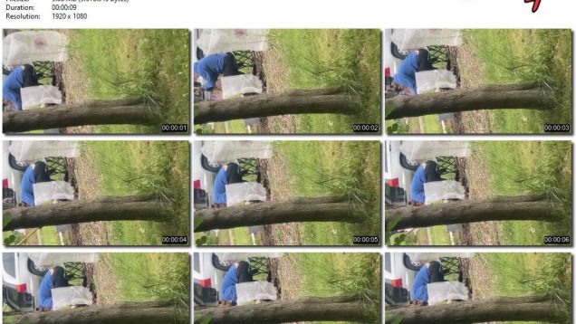 587ba184-43fd-11f0-893b-0800275bf759