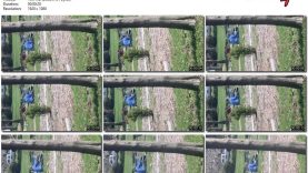 64777814-43fd-11f0-893b-0800275bf759