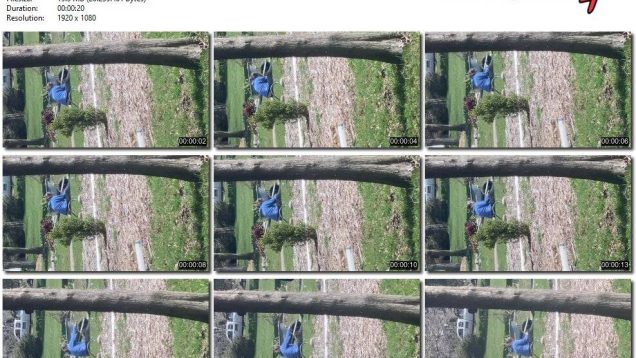 64777814-43fd-11f0-893b-0800275bf759